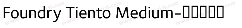 Foundry Tiento Medium字体转换